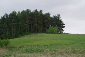 Общество Интеграция  Европа - Восток